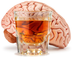 Alcohol and Brain