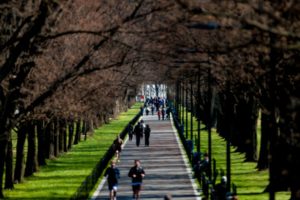 tree-alley-with-pedestrians