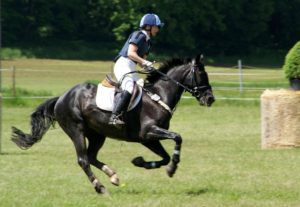 young equestrian